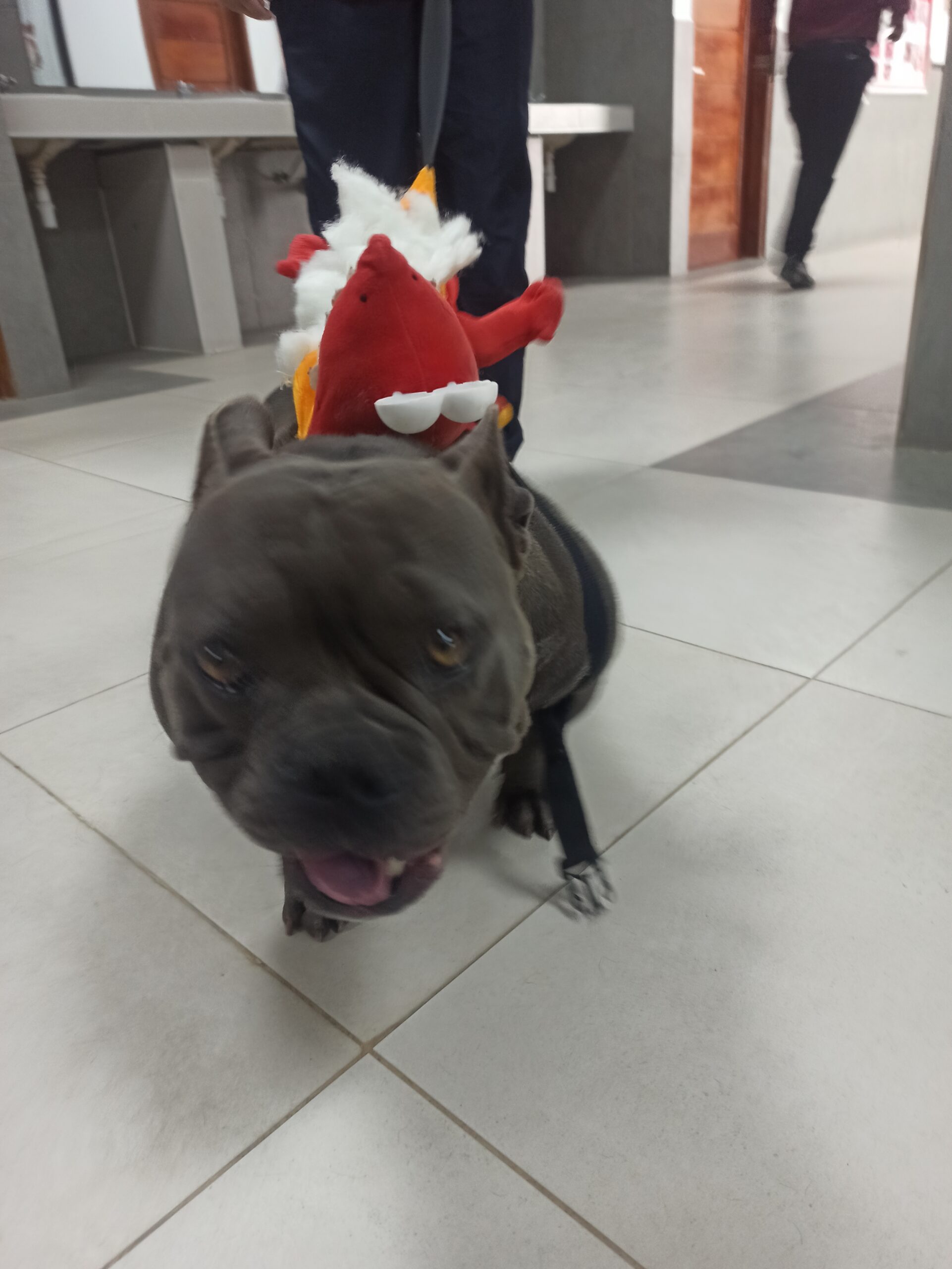 Entrada sin título 1674