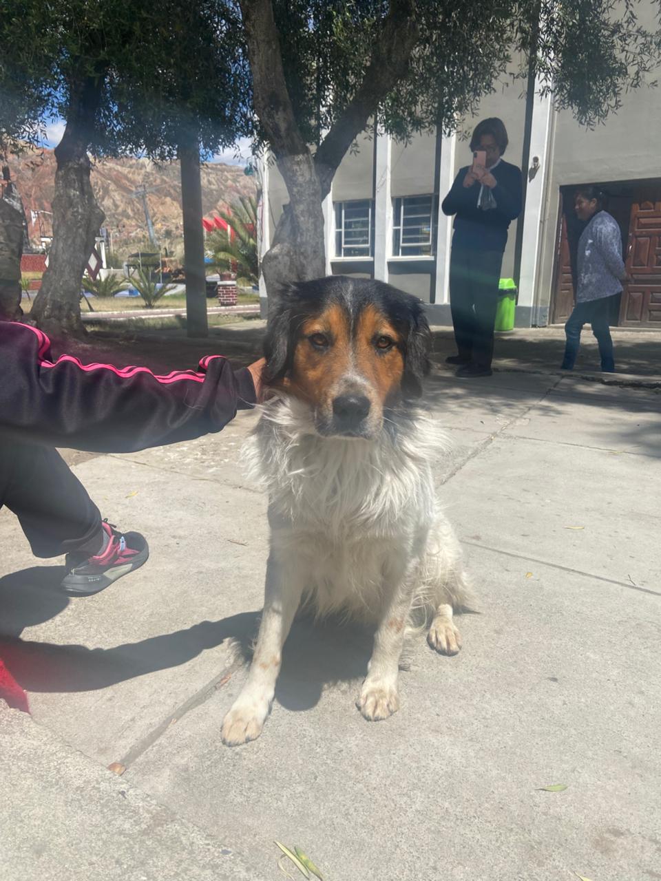 Entrada sin título 3985